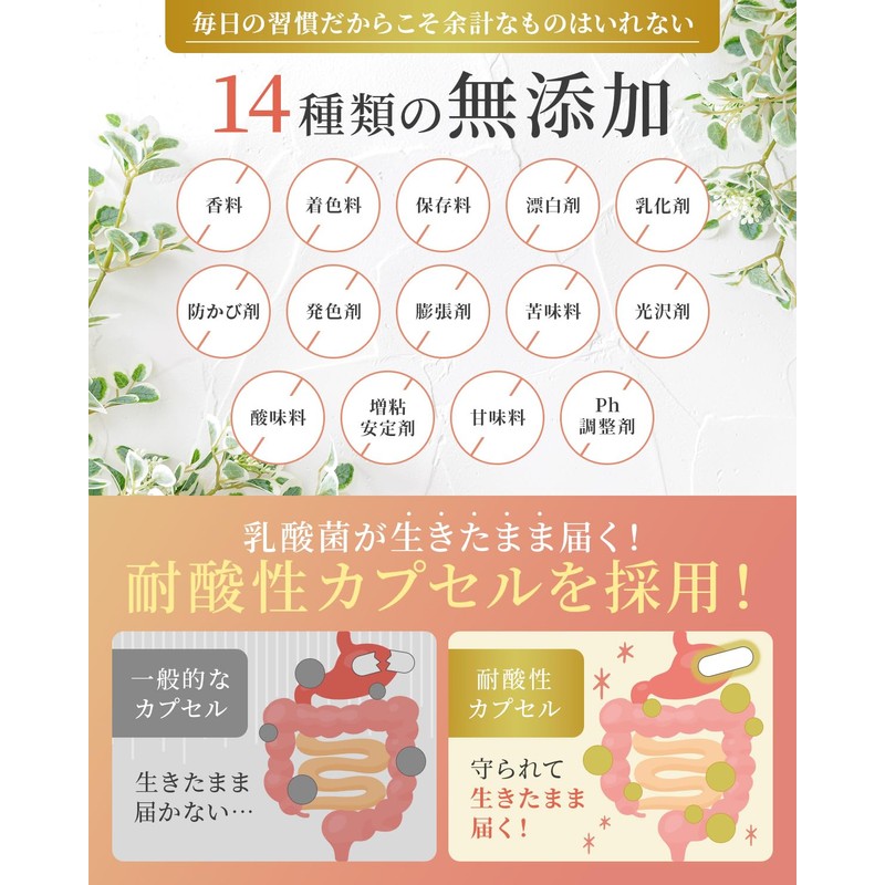 【デリケートな女性のお悩みに】 フェミピュア 乳酸菌 クリスタパス菌 ビフィズス菌 サプリ 2兆5000億個 60日分 国内製造 フェムケア