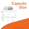 NOW Boswellia Extract 250 mg,120 Veg Capsules