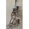 550 Paracord Cobertizo Bolso Correa Portador Cuernos Alces Cobertizos Ciervos