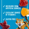 Mott's Fruit Flavored Snacks, Animals Assorted Fruit, Gluten Free Snack,