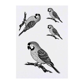 4 x 'Parrot Sitting on Branch' Temporary Tattoos - Water Resistant, Skin-Safe, Non-Toxic Transfers, Mixed Sizes (TO00080616)