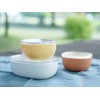 KINTO 26446 BONBO Lunch Bowl, 10.1 fl oz (300 ml),