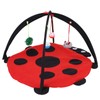 Foldable Cat Activity Play Mat Tent Multifunction Pet Bed with