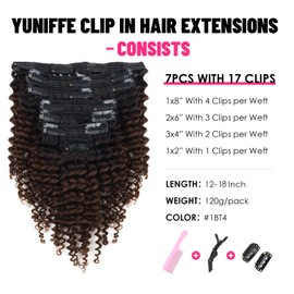 Yuniffe Kinky Curly Clip in Hair Extensions 3C 4A Ombre Curly Hair Extensions for Black Women Remy Human Hair Kinky Curly Clip ins Ombre Brown 7Pcs 120g 18 Inch 1BT4