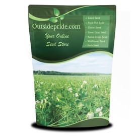 Outsidepride Dundale Spring Field Peas Seeds - 5 lbs. Annual, High-Protein Legume & Cover Crop Seeds for Forage, Food Plot, Gardens & Pastures - Ideal for Improving Soil Health, & Erosion Control