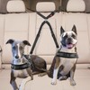 KOOK UDU Dog Seat Belt,New Dual Pet Car Headrest Restraint