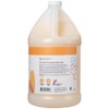Ginger Lily Farms Botanicals Nourishing Body Wash, Coco Mango, 100%