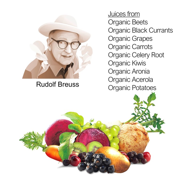 Biotta Organic Breuss Balance Juice - 100% Vegetable Juice for