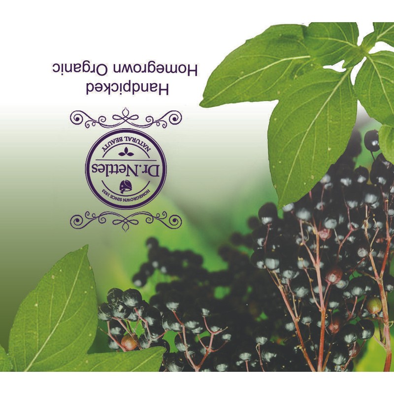 Dr Nettles Natural Beauty Elderberry and Tulsi Immune Boosting Tea