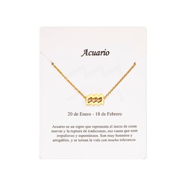 Halskette Sternzeichen Edelstahl Schöne Karte Bedeutung Sternzeichen Anhänger Horoskop Für Frauen oder Mann Geburtstagsgeschenk, Standard, Edelstahl, Nicht zutreffend