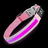 PetIsay Glow-in-The-Dark Dog Collar - Rechargeable IP68 Waterproof LED Collar