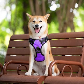 PoyPet 2019 Upgraded No Pull Dog Harness with 4 Snap Buckles, Reflective with Front & Back 2 Leash Hooks and an Easy Control Handle [NO Need Go Over Dog’s Head] (Purple,M)