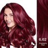 Garnier Color Naturals Hair Dye/ Hair Color