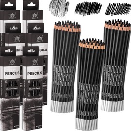 Geyoga 72 Pcs Professional Charcoal Pencils Bulk Soft Medium Hard for Drawing Charcoal Pencils for Art Painting Sketching Shading Drawing Blending Portrait Artists Students Christmas Stocking Gifts