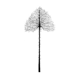 Lavinia Stamps, Clear Stamp - Celestial Tree (Small)