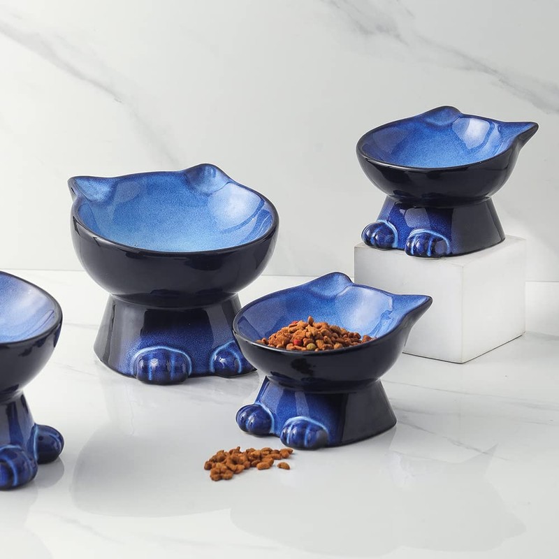 Nihow Slanted Elevated Cat Bowls: 5 Inch Ceramic Raised Cat