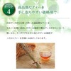 nagomi-NATULURE Organic Earl Grey (Biodegradable Tea Bags 0.08 oz (2