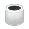 Clorox Medium Room Air Purifier True HEPA Replacement Filter, 1,000