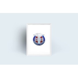 MD - Medical Doctor Lapel Pin Physician Caduceus Clinic Hospital Surgeon - A 134