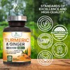 Turmeric Curcumin Supplement - 2000mg Organic Turmeric Per Serving -