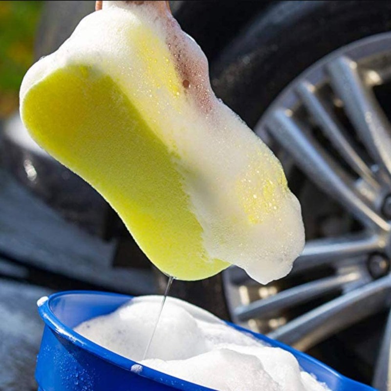 Generic Wash Sponge