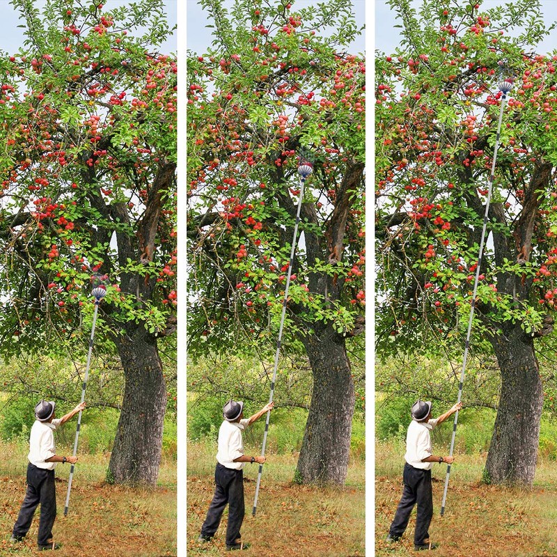 Oak Leaf Fruit Picker, 13 FT Picker Pole with Basket,