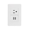 Sanelec 4466 Contacto 2 Entradas USB, Aterrizado con Placa, color