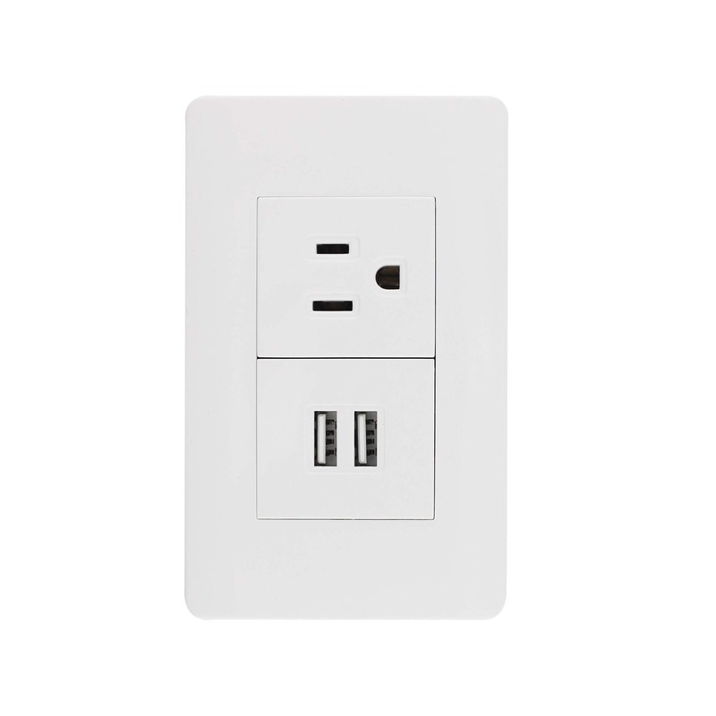 Sanelec 4466 Contacto 2 Entradas USB, Aterrizado con Placa, color