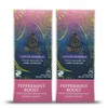 Peppermint Boost by Térapy Ceylon (2 pack) - Premium Ayurvedic