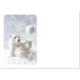 doodlecards Blank Christmas Card Polar Bear and Snowball Medium Size Christmas Card with Plain Envelope