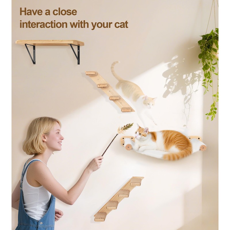 Cat Wall Hammock Set of 3, Wall Shelves with 1