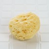 Re:lux Wool Sponge, Commercial Use, Natural Sponge, 2.0 - 2.4
