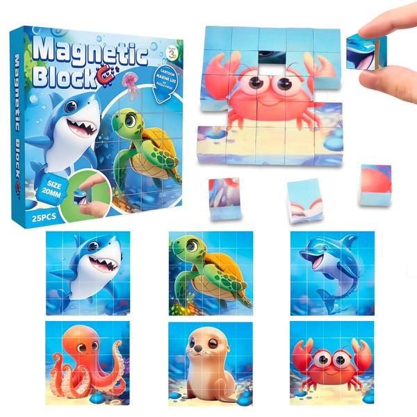 Magnetic Blocks Building Toy,Ritastar 25pcs Mine Stacking Magnet Build Cubes