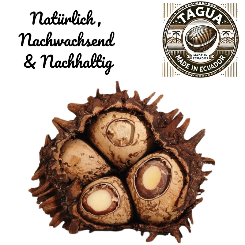 Amarumi Taguan nut necklace, Wood, 0