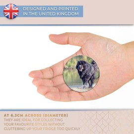Destination Vinyl ltd Magnet for Refrigerator, Fridge - Newfoundland Dog Puppy Cute for Office, Cabinet and Whiteboard, Magnetic Stickers, 2279