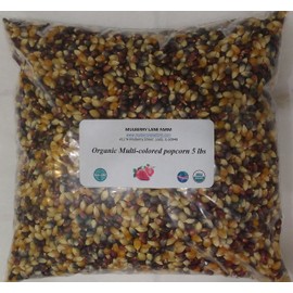 Multi-colored Popcorn Popping Corn 5 Pounds (Calico or Rainbow) Kernels, USDA Certified Organic, Non-GMO Bulk, Product of USA