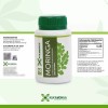 Moringa 60 Cápsulas De 500 Mg