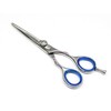 Professional Razor Cut & Thinner Hair Shears 6" 2- in