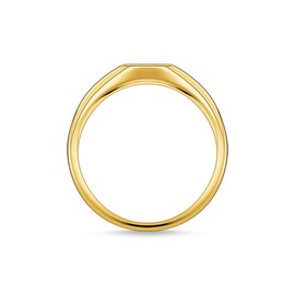 THOMAS SABO ring star gold plated silver TR2314-414-14-54