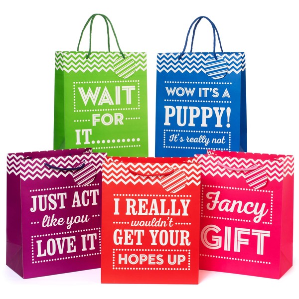 Large 13 inch Gift Bags - Pack of 5 - Funny Gift Wrap for Birthdays and All Occasions,13x10.5x5.75 Inch (Pack of 5)