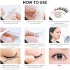 D-UP False Eyelashes Lashever Volume Series, Japanese Natural Looking Fake