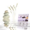 Astor Chocolate Serene Dark Chocolate Ginger with Passion Flower Squares