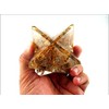 Jet International Yellow Jade Orgone Merkaba 4" Free Booklet Crystal