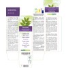 Common Ash (Fraxinus Excelsior) Leaves Alcohol-Free Mother Tincture Naturalma Liquid