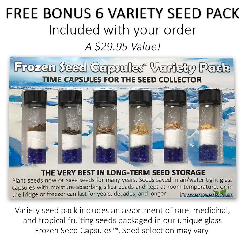 Palm Beach Medicinal Herbs - Henbane (Hyoscyamus Niger) - Packet