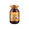 스프링리프 마늘추출물 360캡슐 Springleaf Garlic Extract 360 Capsules