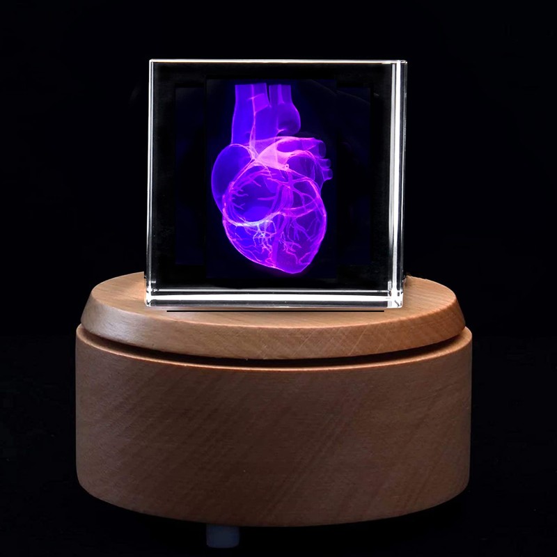 3D Human Heart Anatomical Model Paperweight(Laser Etched) in Crystal Glass