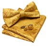 Barry.Wang Gold Bow Tie Set Men Paisley Silk Pre-Tied Bowtie