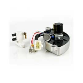 TURBOTUNITY AVR Regulator for 5-8KW Generacof Honda Clones Predator Champion Blackmax Generac Generators Powermate Duromax Firman Wen Etq 5000 5500 6500 7000 7500W 8000 8500 8750 9000 9500