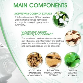 Allony Heartleaf 77% Toner, Face Toner Gesicht, Beruhigende Haut Gesichtstoner, Heartleaf 77% Soothing Toner, Beruhigt die Haut, Feuchtigkeitsspendend, Für Alle Hauttypen Geeignet(100ml)